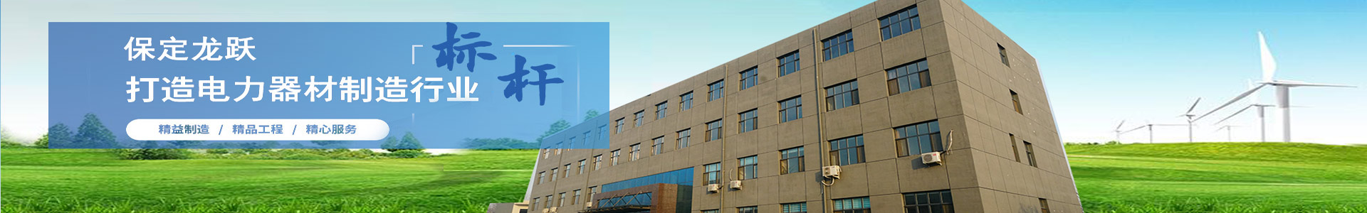 保定市龍躍電力器材制造有限公司